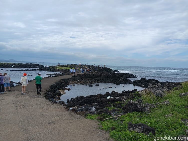 牛島の撮影スポット