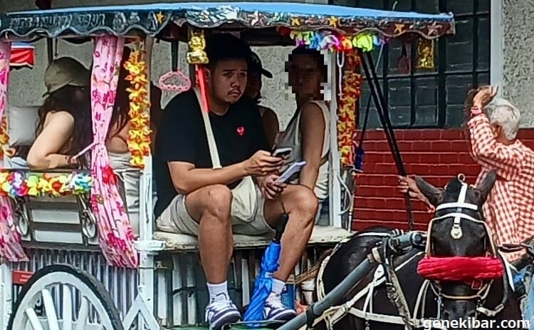 イントラムロスの馬の乗り物