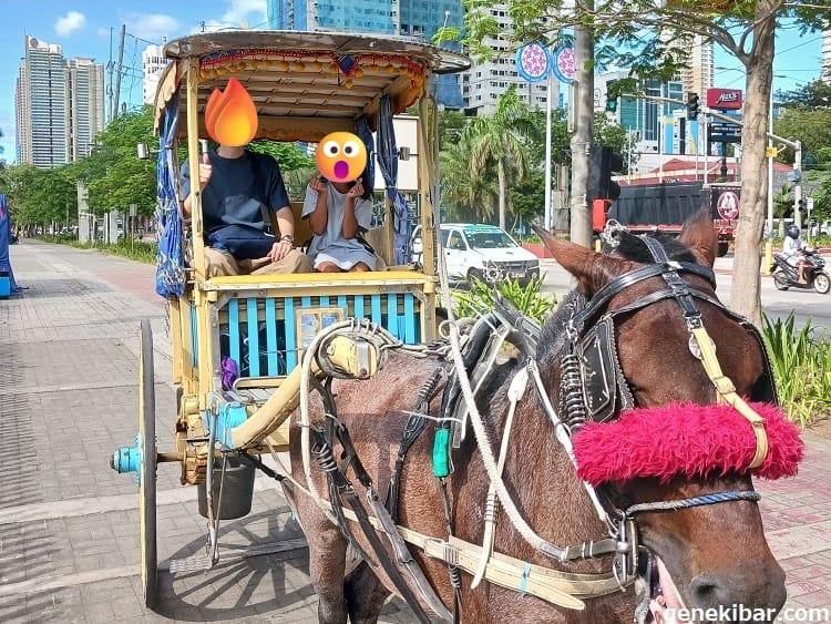 馬車での記念撮影