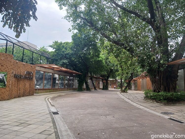 マニラ動物園の園内