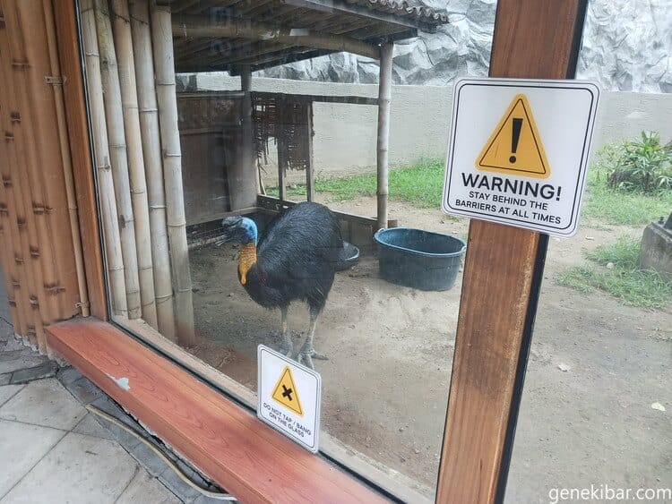 ヒクイドリの注意書き