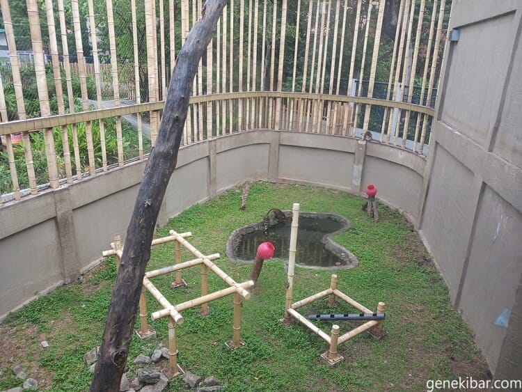 マニラ動物園のサルのエリア