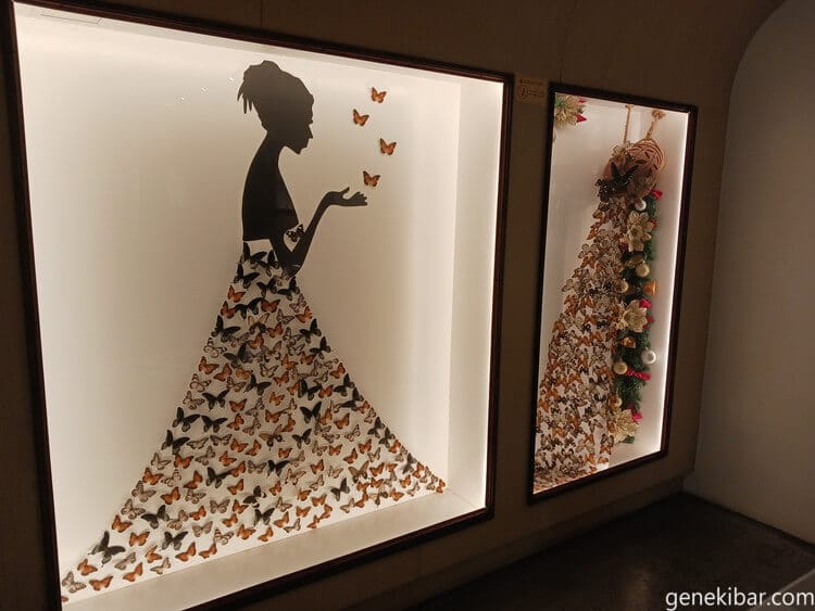 マニラ動物園の蝶々の展示スペース