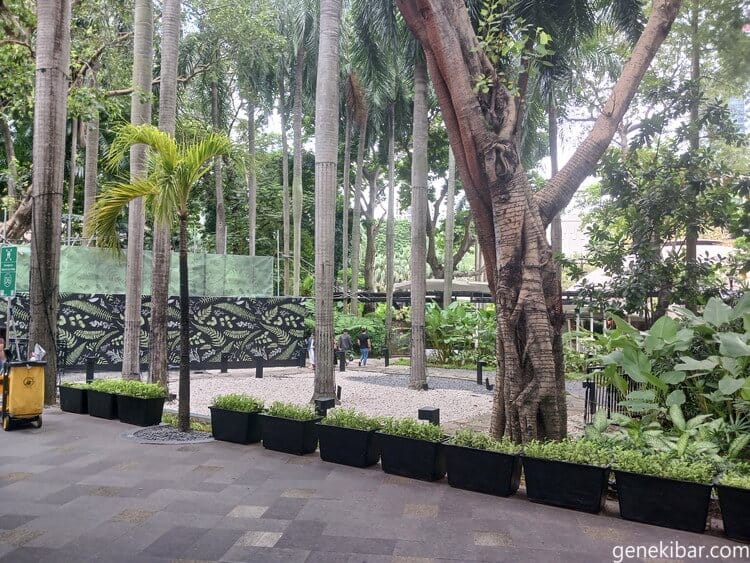 マカティのグリーンベルト