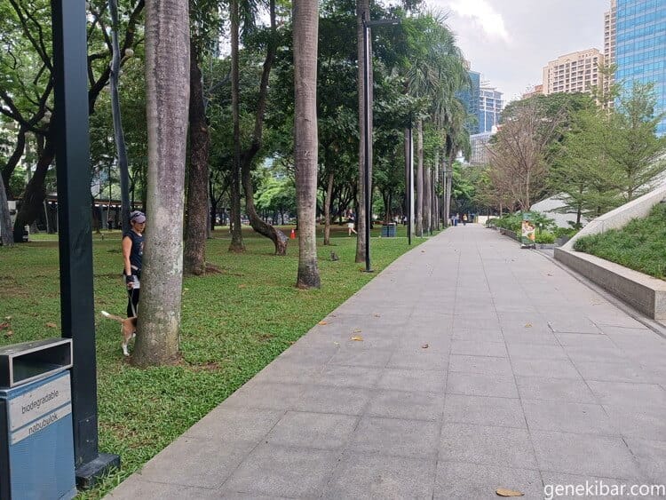 犬の散歩をする人