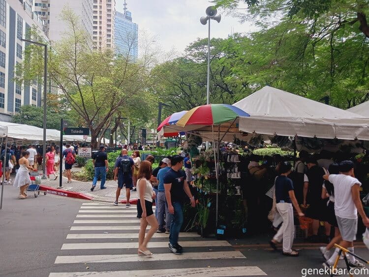 サタデーマーケットの入り口