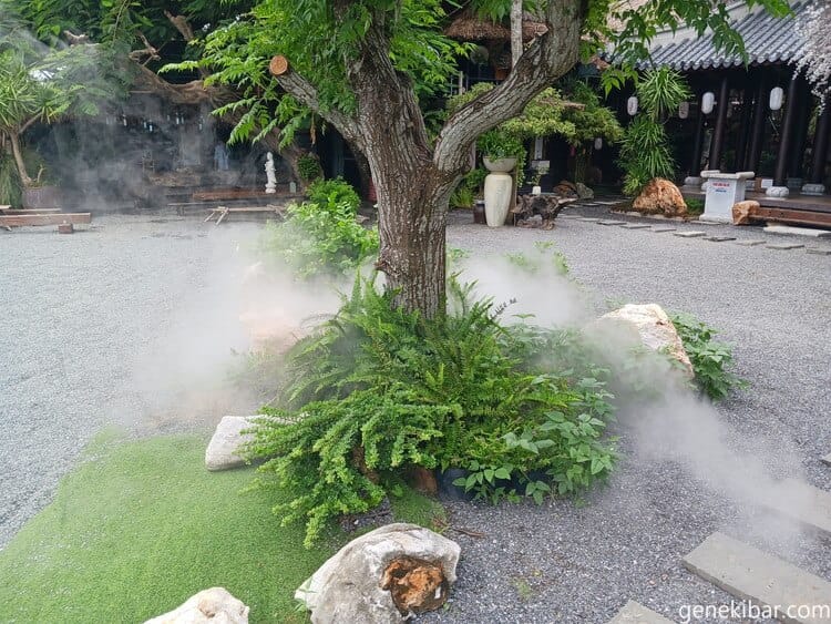 トゥータム寺のミスト