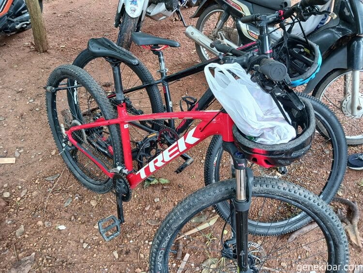 レンタルした自転車