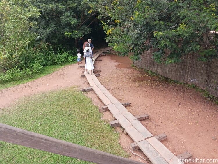 タプロームにつづく道