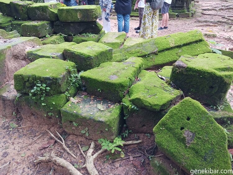 苔の生えた石材