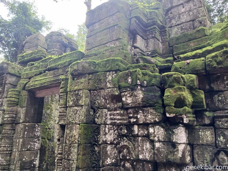 苔の生えた建造物