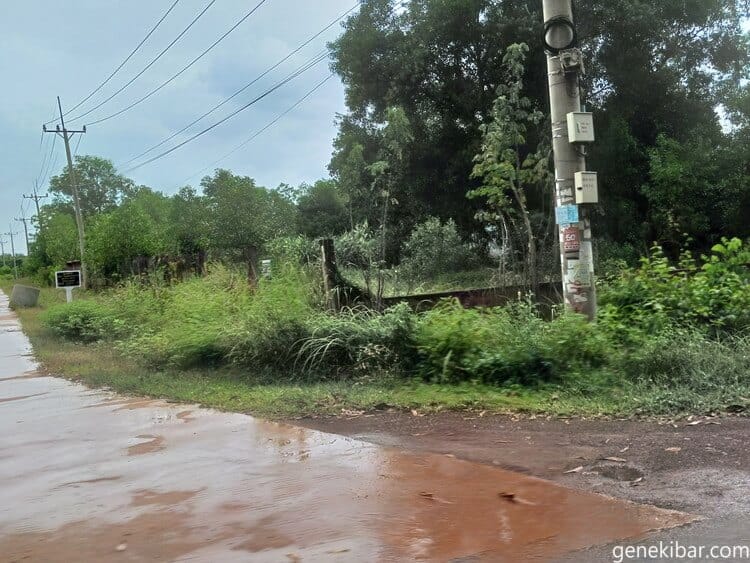冠水した道路