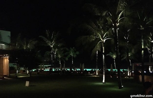 ポテトヘッドビーチクラブの芝生エリア