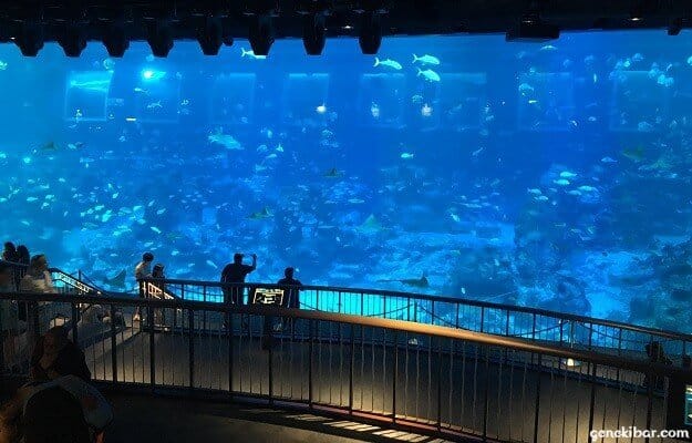 セントーサ島の水族館、シーアクアリウムのオーシャンギャラリー