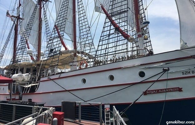 セントーサ島のロイヤルアルバトロス側面