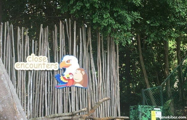 アニマル・アンド・バードエンカウンターズ