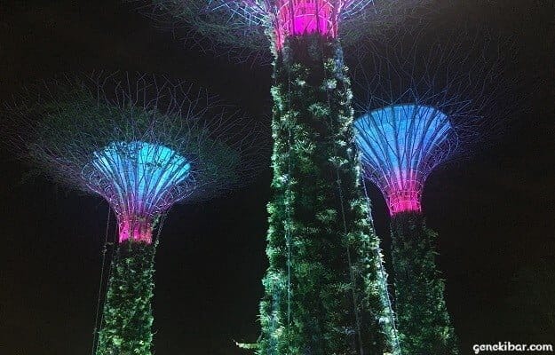 3本のライトアップされた人口ツリー