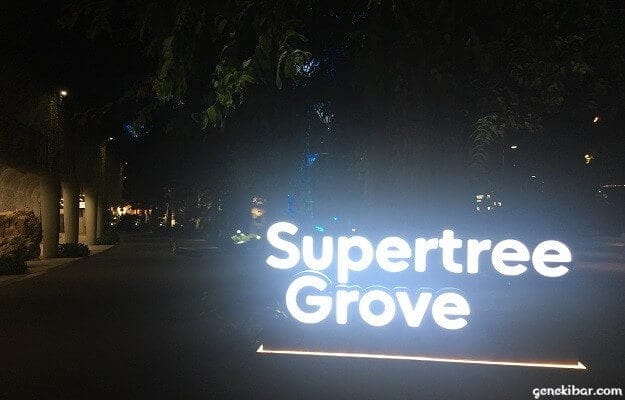 スーパーツリーグローブ入り口