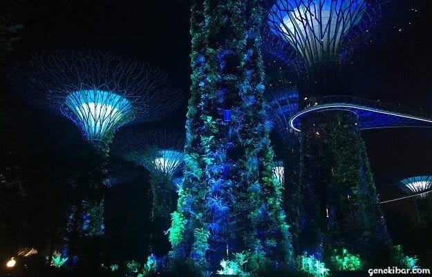 スーパーツリーグローブ