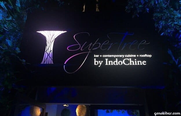 スーパーツリーグローブのルーフトップバー