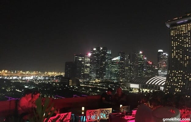 ガーデンズバイザベイのルーフトップバーからの景色