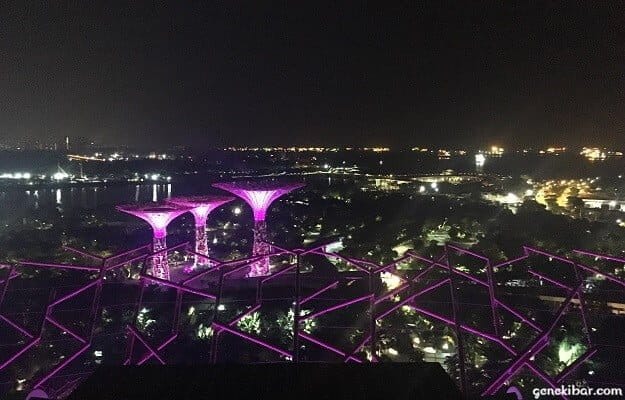 ルーフトップバーから見たシルバーガーデン