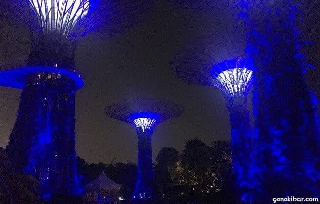 青く発光するスーパーツリー