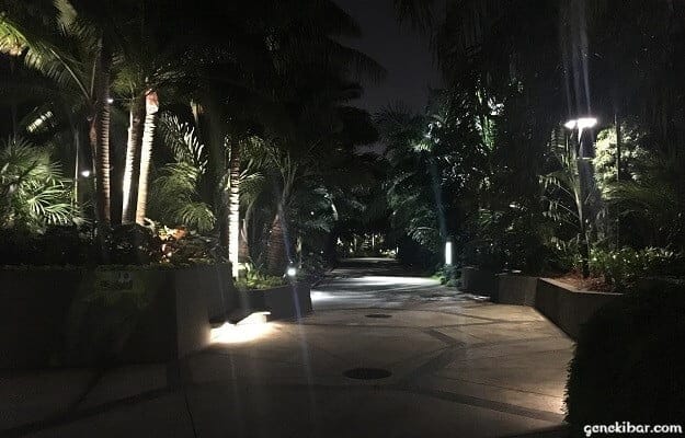 ワールド・オブ・プランツ