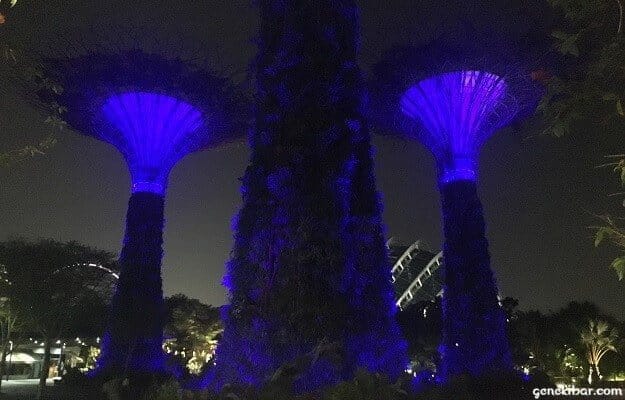 ゴールデンガーデン