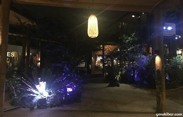 ナイトサファリ入り口広場