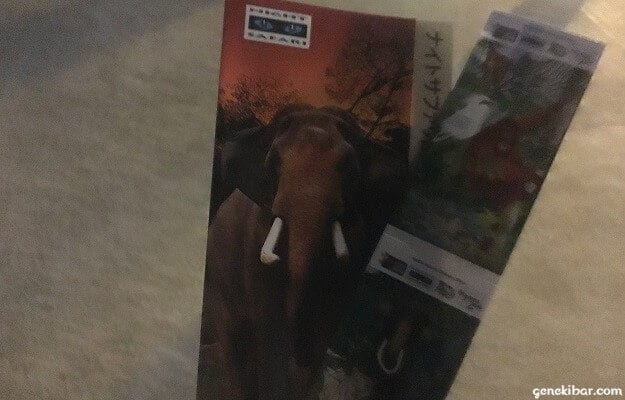 ナイトサファリのチケット