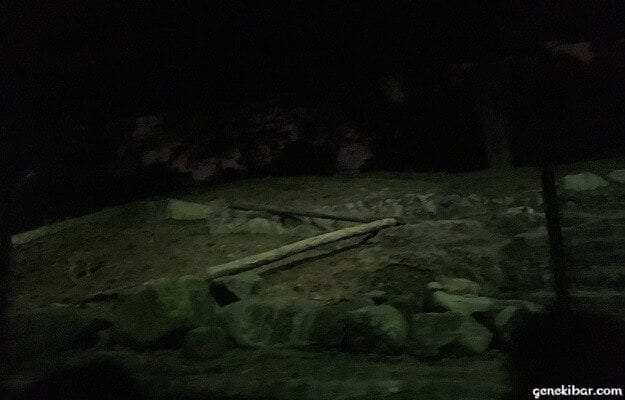 ナイトサファリのトラムコース