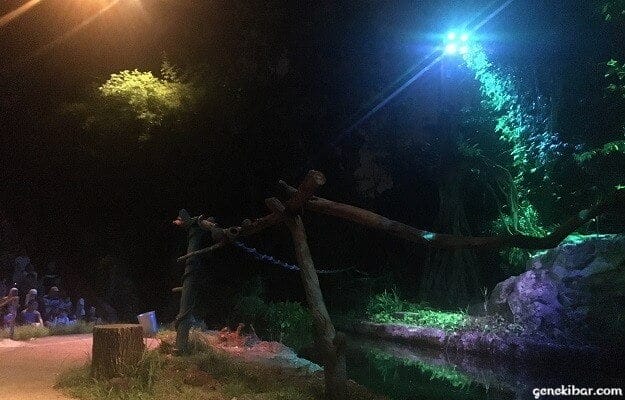 クリーチャーオブザナイトショー開演のライト