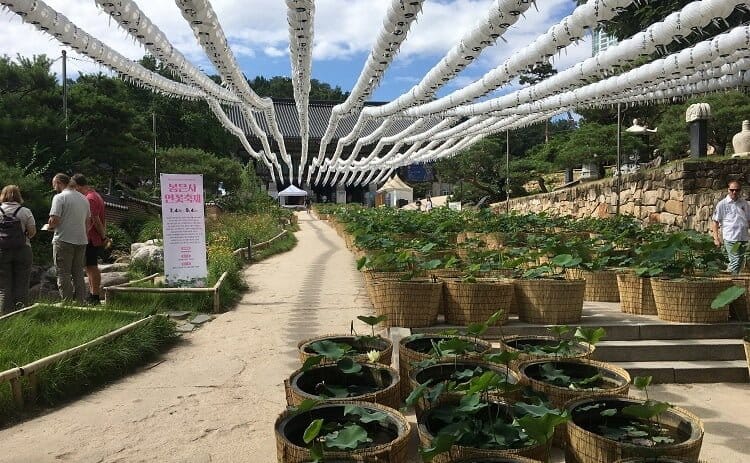 奉恩寺の門をくぐったところ