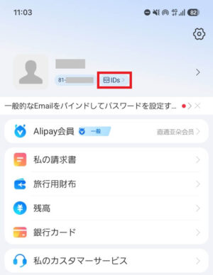アリペイのパスポート登録に進む場所(IDs)