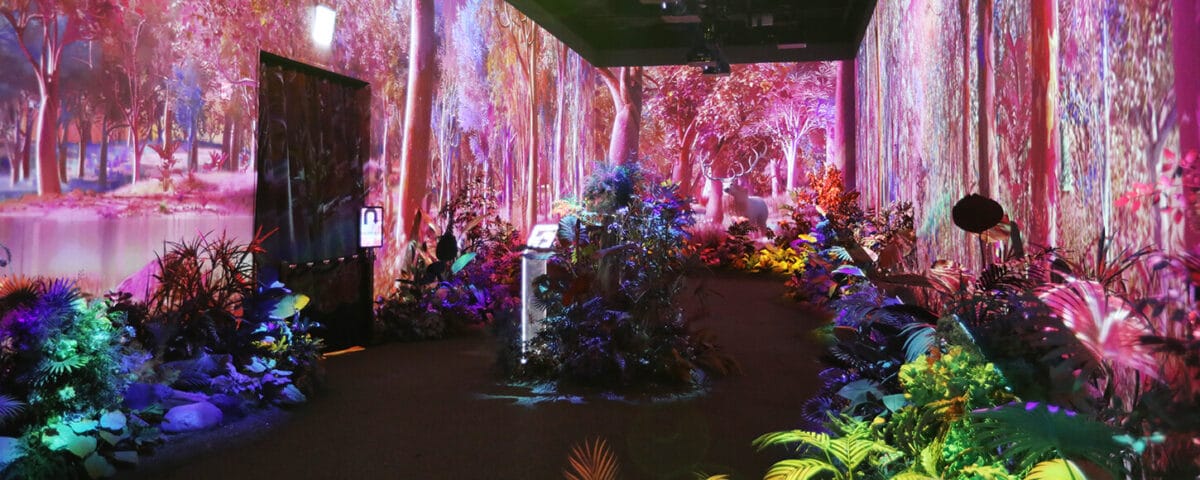 インスパイアのル・スペース