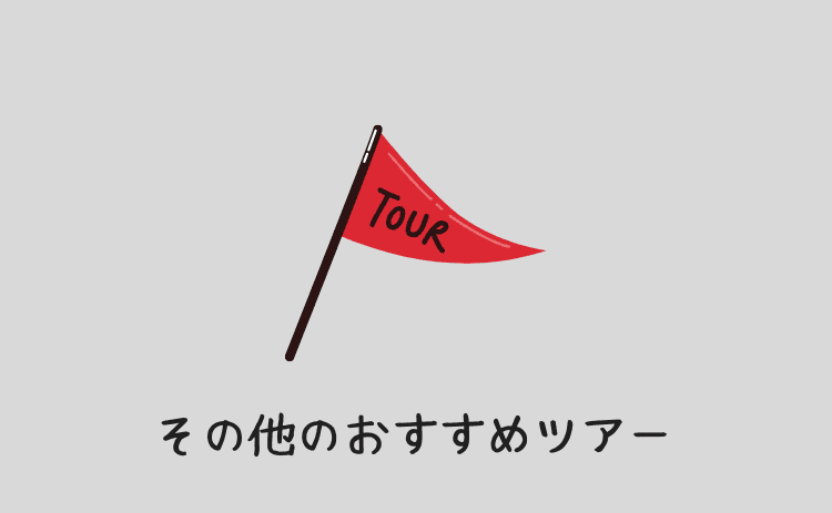 その他のおすすめツアー