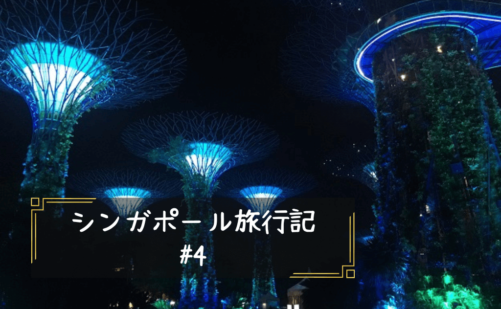 【まるで異世界】シンガポールの深夜の庭園、ガーデンズバイザベイへ