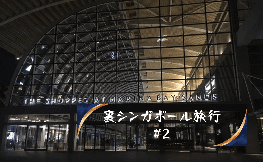 【ベーシックストラテジー実践】マリーナベイサンズカジノで勝負開始！